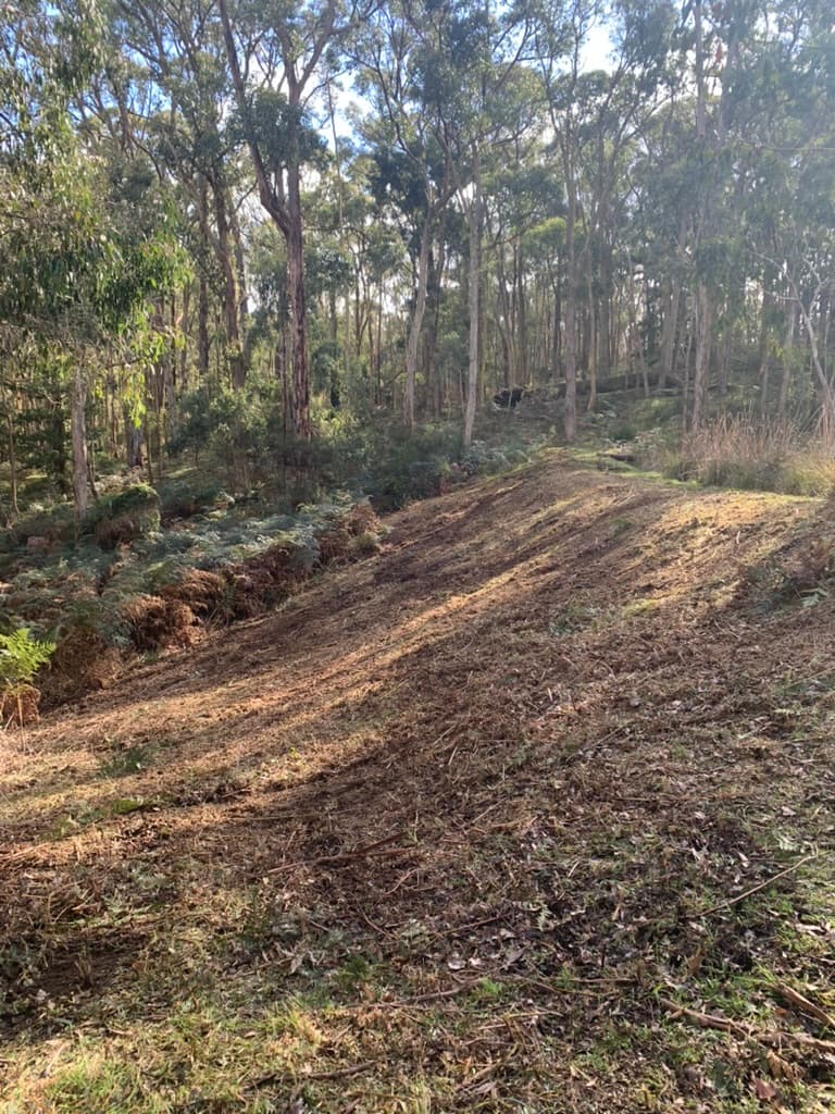 Managed rough slope with reduced vegetation and improved property access
