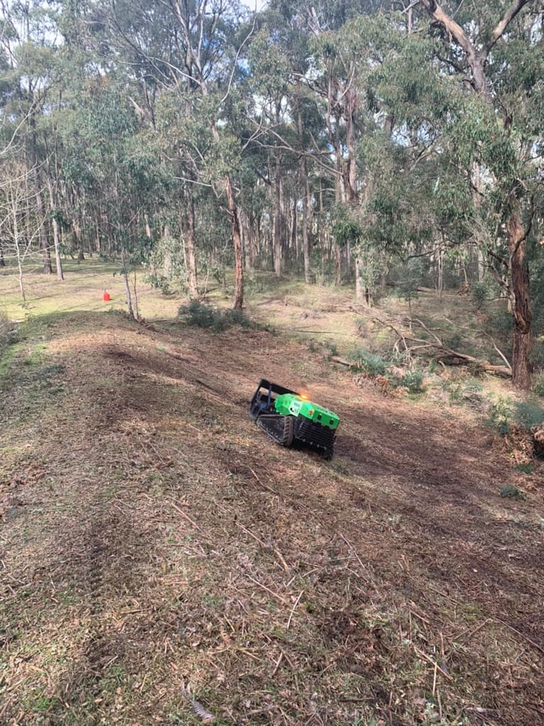 IBEX vegetation management machine working on a sloped bush block